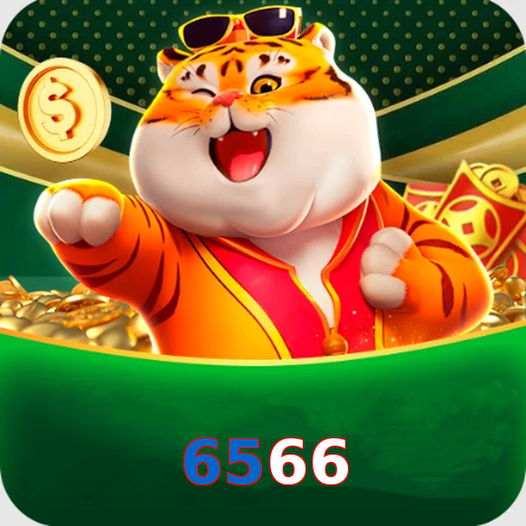 6566